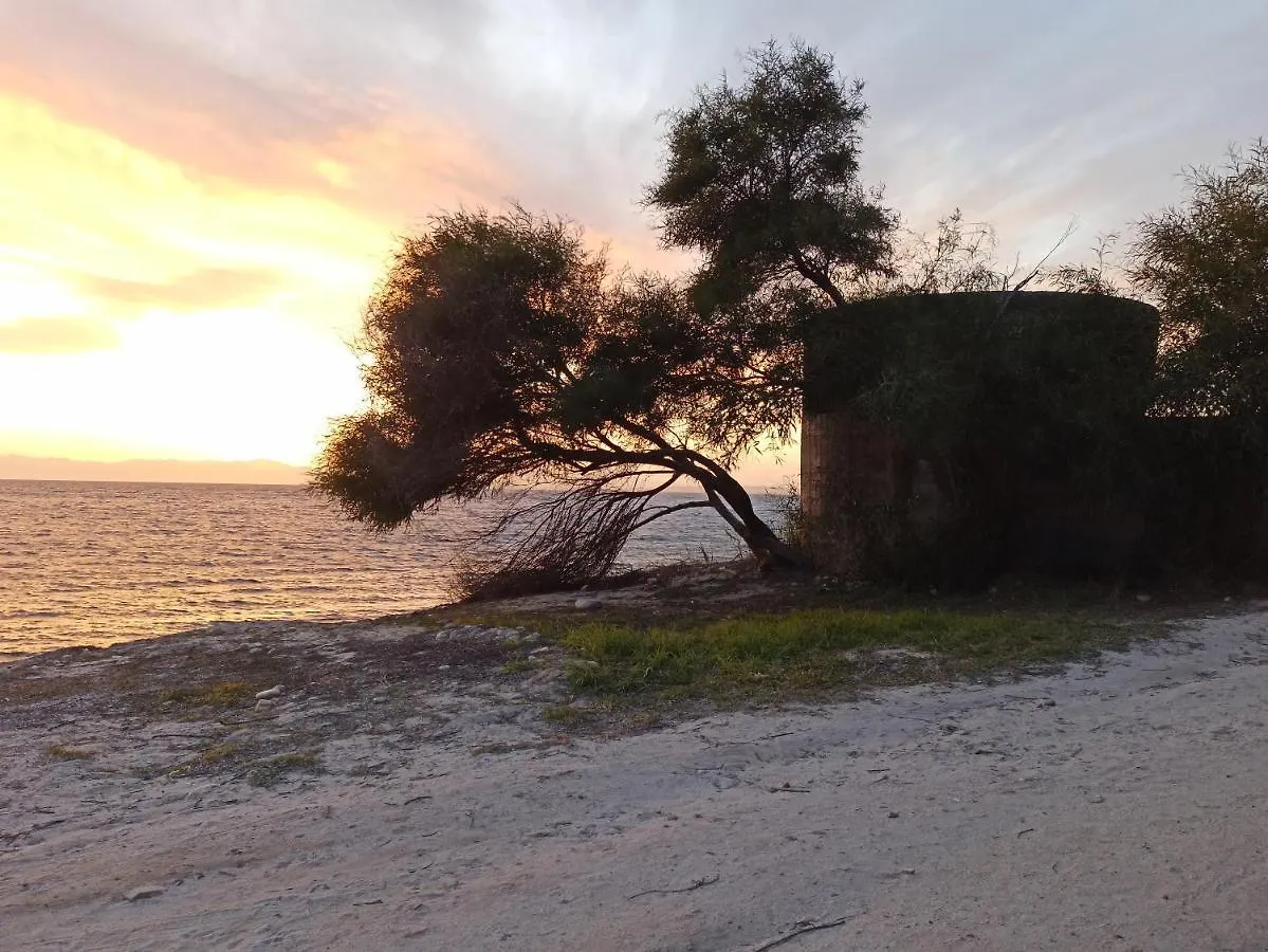 Villa Sul Mare Con Piscina Capitana